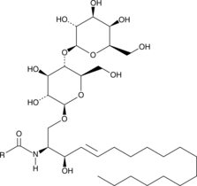Lactosylceramides(bovine brain)图片