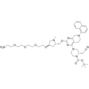 K-Ras ligand-Linker Conjugate 6图片