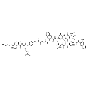 SW-163D-AcLysValCit-PABC-DMAE图片