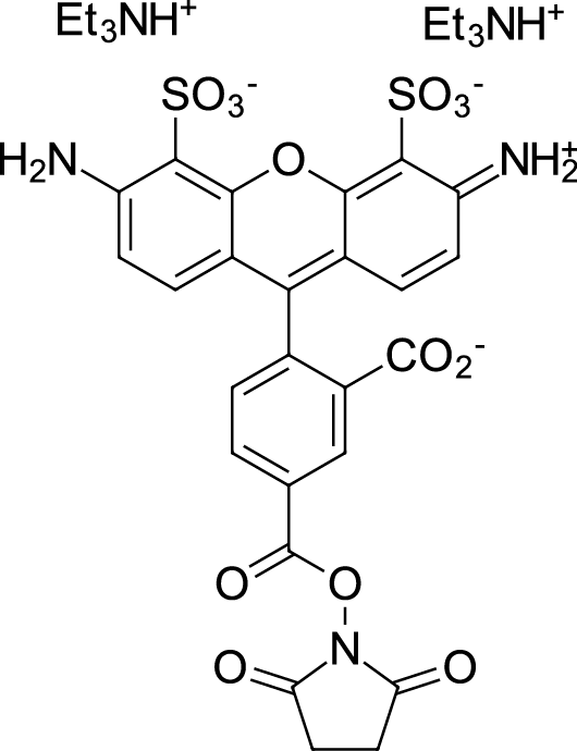 AF488 NHS ester图片