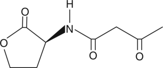 N-3-oxo-butyryl-L-Homoserine lactone图片
