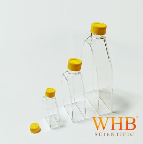 WHB-CCF25培养瓶密封盖图片