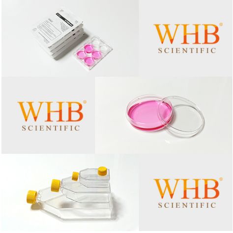 WHB-100-FC纤维蛋白包被培养皿图片