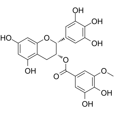 (-)-Epigallocatechin-3-(3''-O-methyl)gallate图片