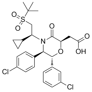 AM-8735图片