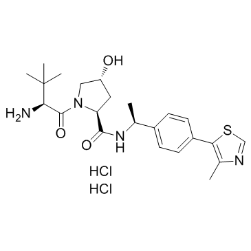 E3 ligase Ligand 1 dihydrochloride图片