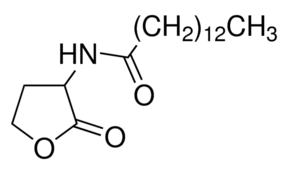 N-Tetradecanoyl-DL-homoserine lactone图片