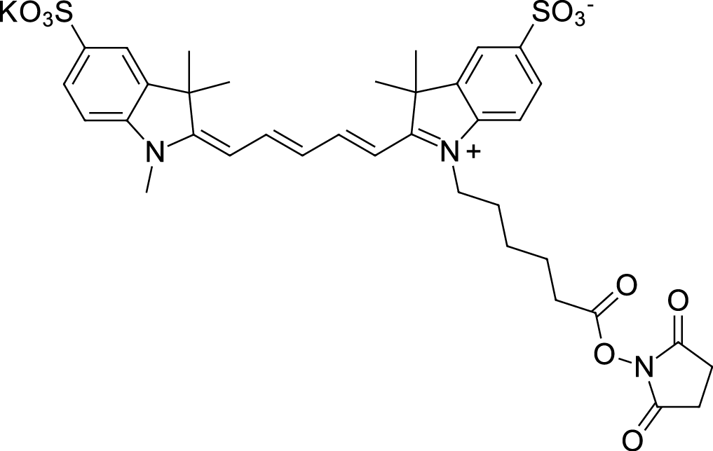 Sulfo-Cyanine5 NHS ester图片