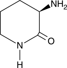 D-Ornithine lactam图片