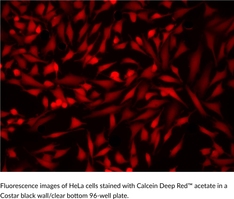 Calcein Deep Red? Acetate图片