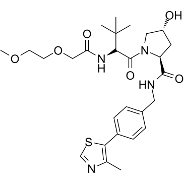 E3 ligase Ligand-Linker Conjugates 51图片