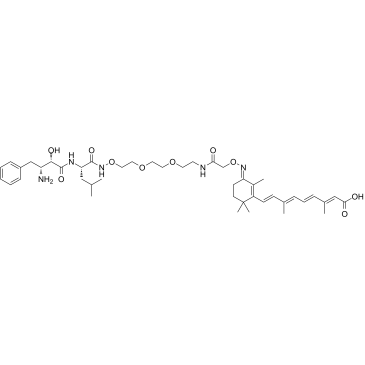 PROTAC CRABP-II Degrader-2图片