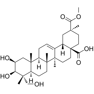 Phytolaccagenin图片