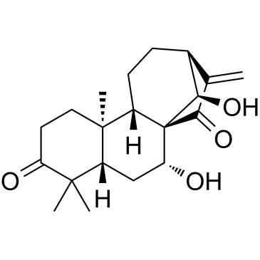 Glaucocalyxin A图片