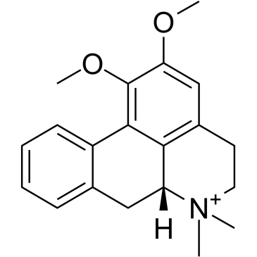 N-Methylnuciferine图片