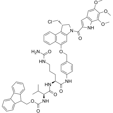 Fmoc-Val-Cit-PAB-Duocarmycin TM图片