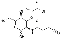 Click N-Acetylmuramic acid-alkyne图片