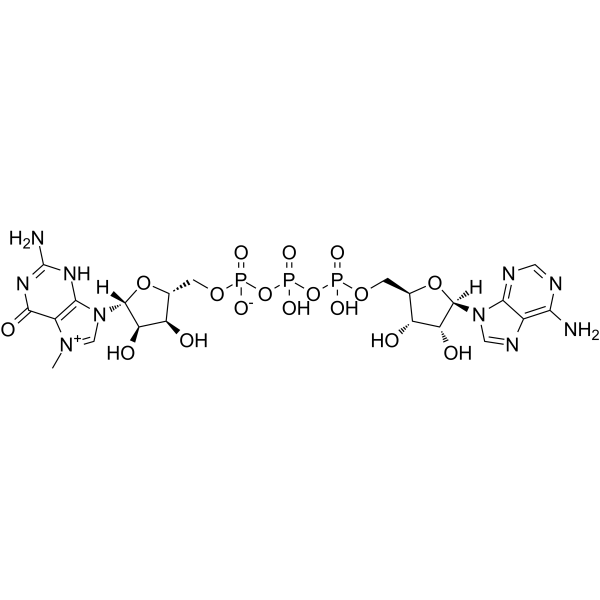 N7-Methyl-guanosine-5&rsquo-triphosphate-5&rsquo-adenosine图片