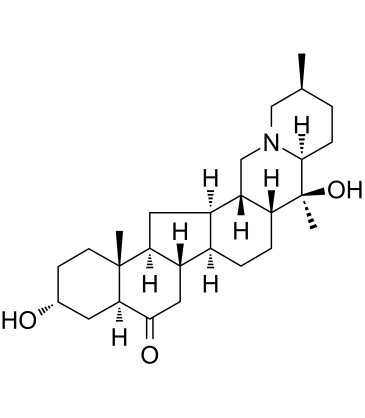 Yubeinine图片