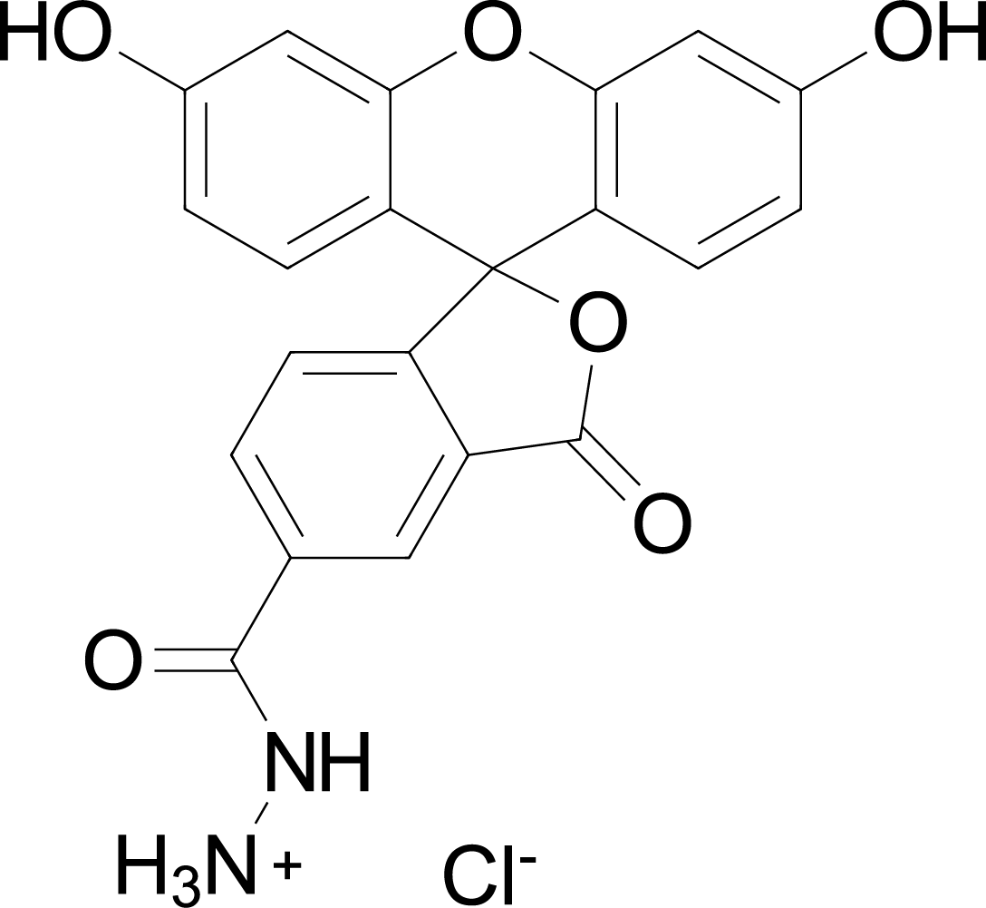 FAM hydrazide,5-isomer图片