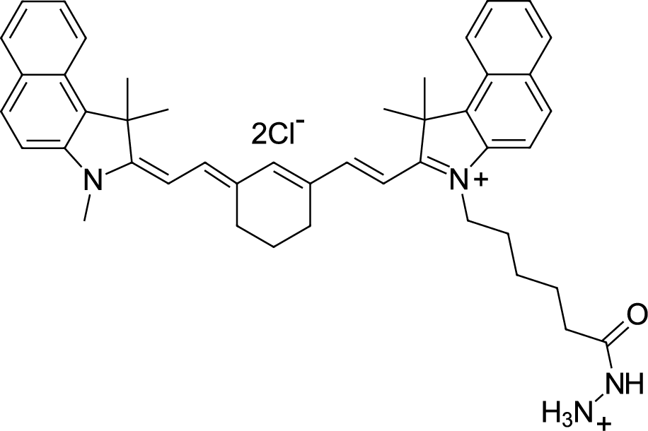 Cyanine7,5 hydrazide图片