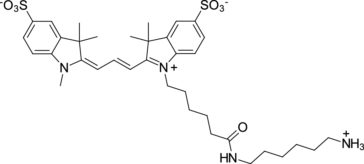 Sulfo-Cyanine3 amine图片