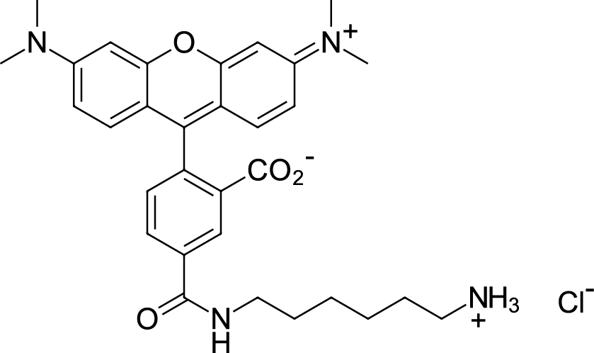TAMRA amine,5-isomer图片