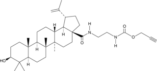 N-(2-Poc-ethyl)betulin amide图片