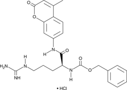 Z-(L-Arg)-AMC(hydrochloride)图片