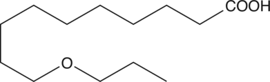 O-11图片