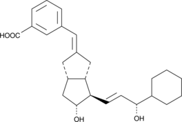 CG 4305图片