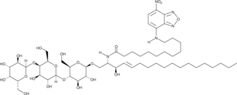 C12 NBD Globotriaosylceramide(C18:1/12:0)图片