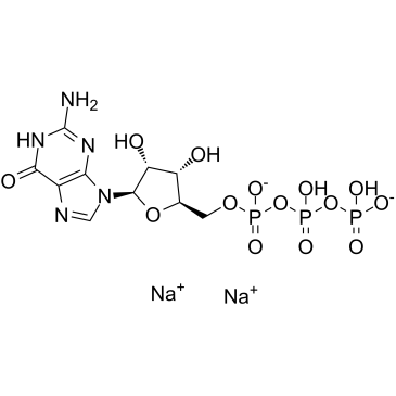 Guanosine-5'-triphosphate disodium salt图片