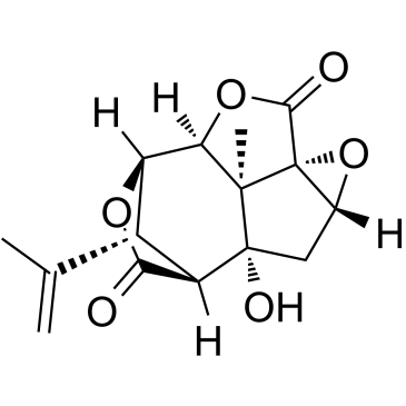Picrotoxinin图片