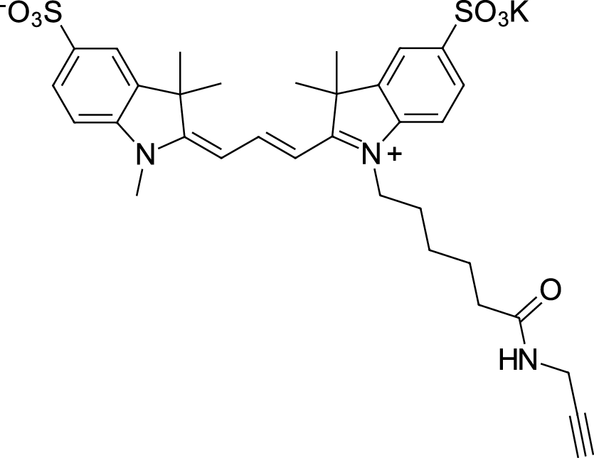 Sulfo-Cyanine3 alkyne图片