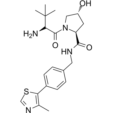 E3 ligase Ligand 18图片