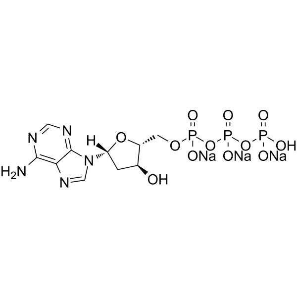 2&rsquo-Deoxyadenosine-5&rsquo-triphosphate trisodium图片