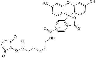 5(6)-SFX(Fluorescein),SE图片