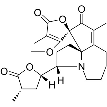 Protostemotinine图片