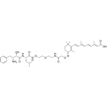 PROTAC CRABP-II Degrader-1图片