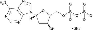 2&rsquo-Deoxyadenosine-5&rsquo-diphosphate(sodium salt)图片