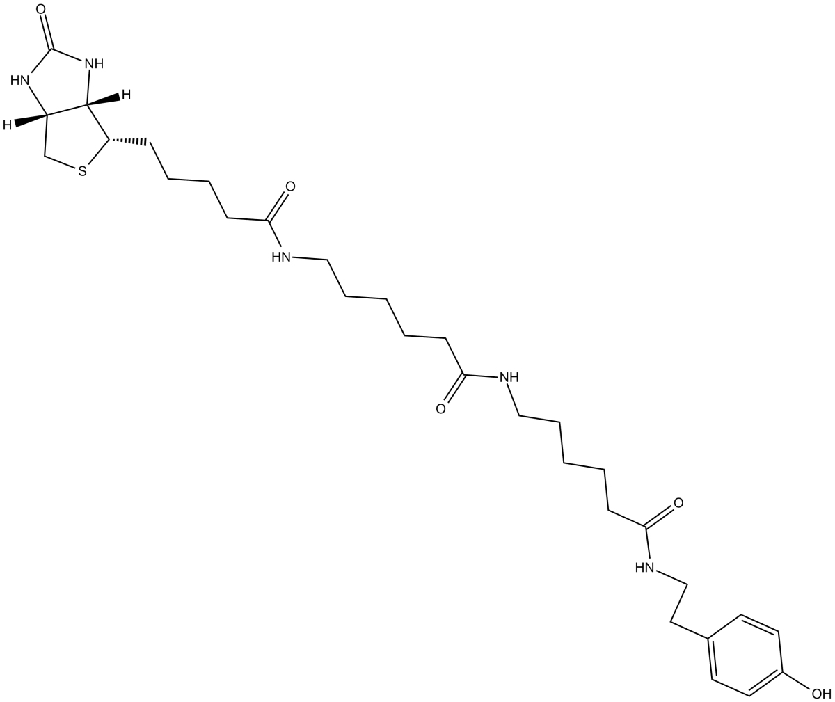 Biotin-XX Tyramide Reagent图片