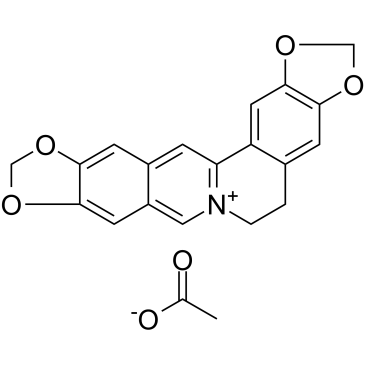 Pseudocoptisine acetate图片