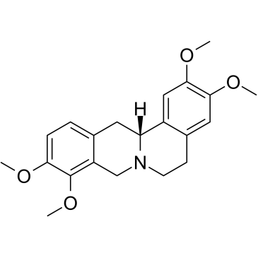 D-Tetrahydropalmatine图片