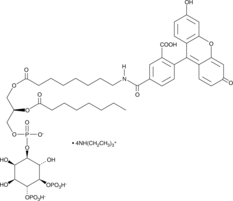 PtdIns-(4,5)-P2-fluorescein(ammonium salt)图片