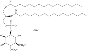 PtdIns-(4,5)-P2(1,2-dipalmitoyl)(sodium salt)图片
