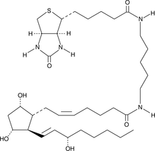 Prostaglandin F2α-biotin图片