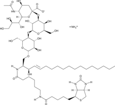 C6 Biotin Ganglioside GM3(d18:1/6:0)(ammonium salt)图片