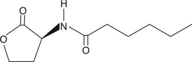 N-hexanoyl-L-Homoserine lactone图片