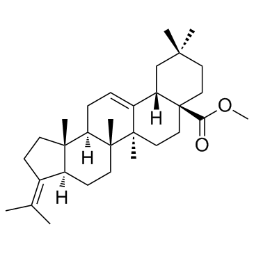 Oleanolic acid derivative 1图片